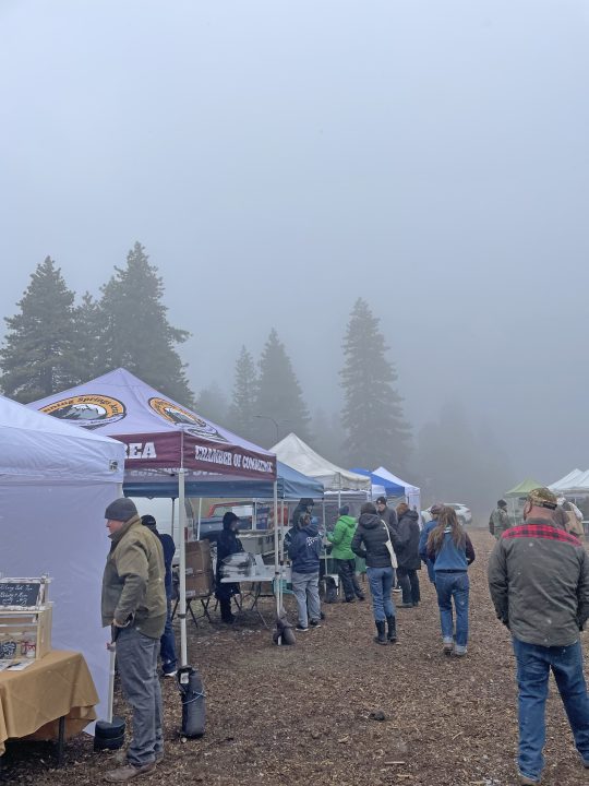 Running Springs,Running Springs News,Running Springs Farmers Market and Artisan Faire,Mountain News,Alpine Mountaineer Newspaper,Running Springs Chamber of Commerce