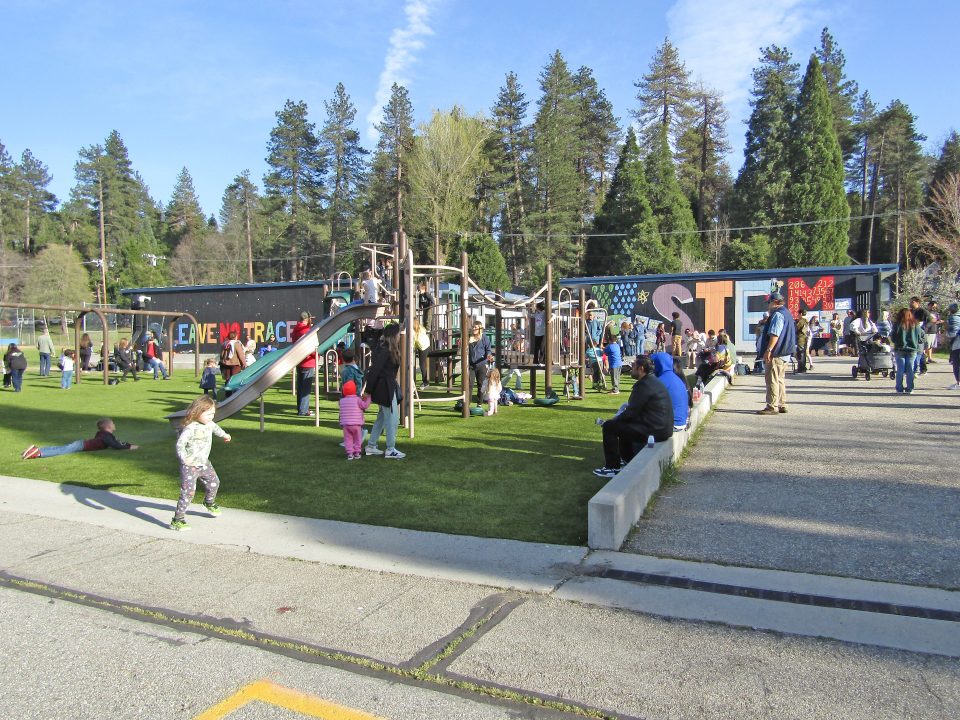 Children playing at a lively park with playground.