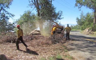 Fire Safe Council offers free abatement assistance