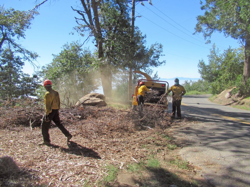 Adrianne, Lisa, Julia, Melissa and Adrianna from Glendora and Orange County enjoyed last year’s Brewfest at Tavern Bay Beach Club so much they couldn’t resist attending this year’s event. (Photos by Douglas W. Motley) Workers clearing fallen branches in wooded area.