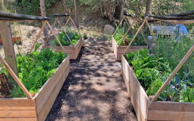 Garden marks step toward a self-sustaining food source