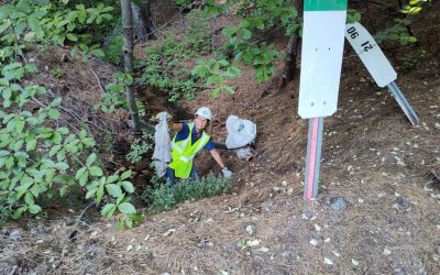Rotarians at work