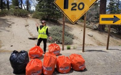 Maintaining the forest, one cleanup at a time