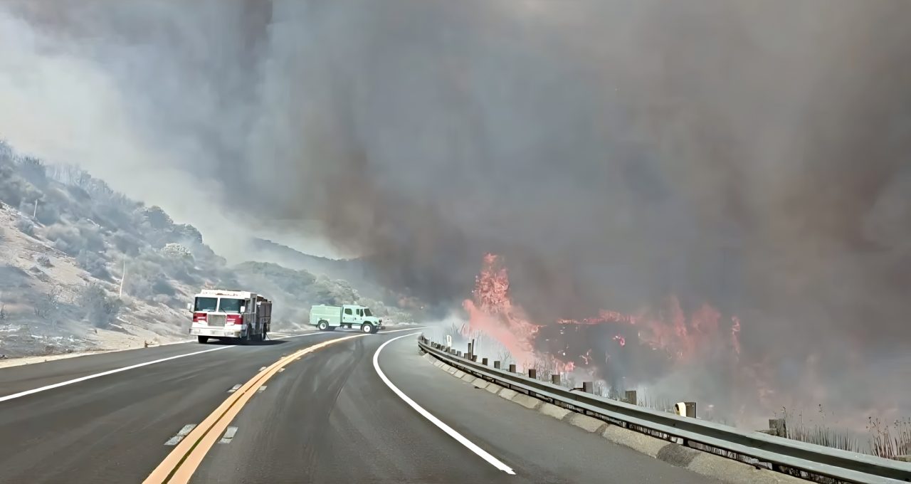 Wildfire near road with fire trucks responding.