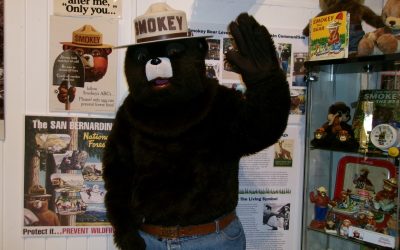 Smokey Bear to celebrate his 81st birthday