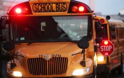 The rules for school buses
