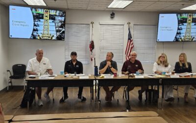 ARROWHEAD LAKE ASSOCIATION — Special election on the horizon