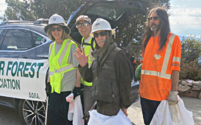 Cleaning up the state’s highways