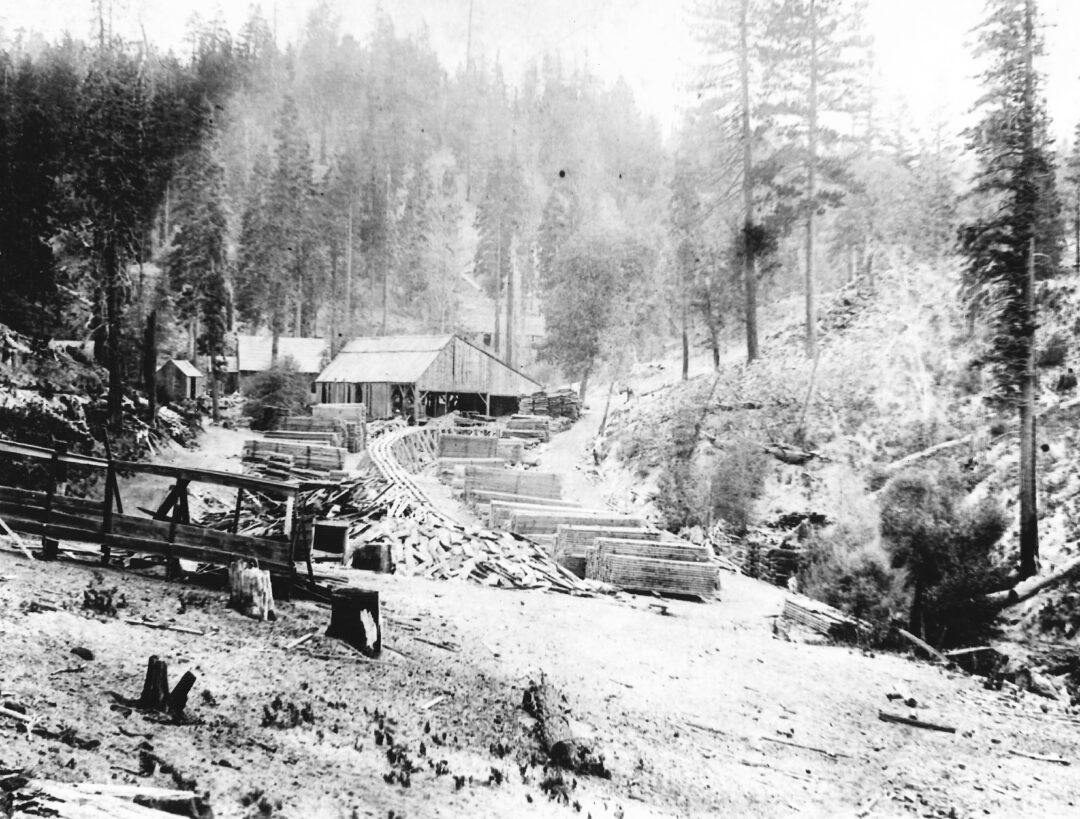 twtd cedar glen 1 hook mill 1887 copy