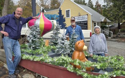 Light the trees and Shop Small Saturday