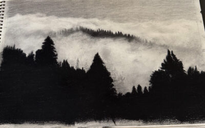 Celebrate fine art while supporting Rim Ed
