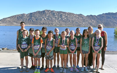 Eagles fly through cross-country season