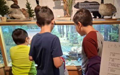 Lake Arrowhead Elementary Third Graders visit the Mountain History Museum