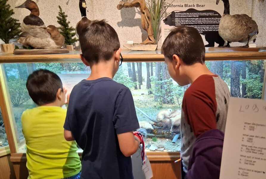 Adrianne, Lisa, Julia, Melissa and Adrianna from Glendora and Orange County enjoyed last year’s Brewfest at Tavern Bay Beach Club so much they couldn’t resist attending this year’s event. (Photos by Douglas W. Motley) Children observing museum wildlife diorama