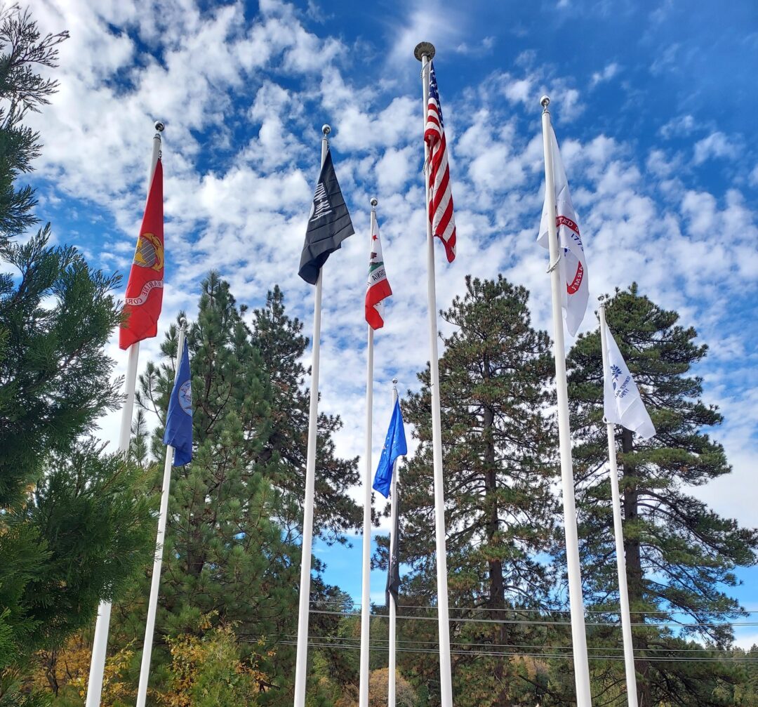 Multiple flags waving against blue sky with trees.