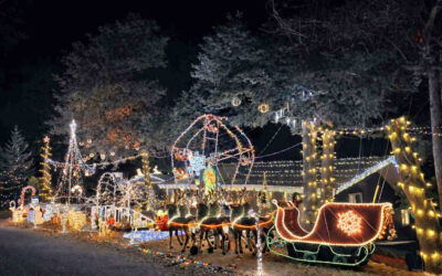 ‘Wurtz Winter Wonderland’ wins Crestlights honor