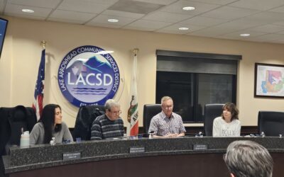 LAKE ARROWHEAD COMMUNITY SERVICES DISTRICT — Changes at the helm of the water district