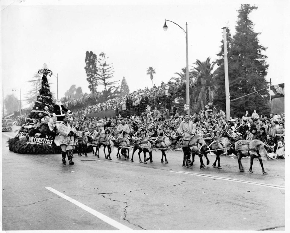 RHEA-FRANCES TETLEY,San Bernerdino Mountains,Rose Parade Pasadena,Big Bear News,Crestline News,Alpine Mountaineer Newspaper,Mountain News