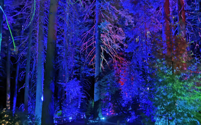 SkyPark at Santa’s Village kicks off Fantasy Forest Nights