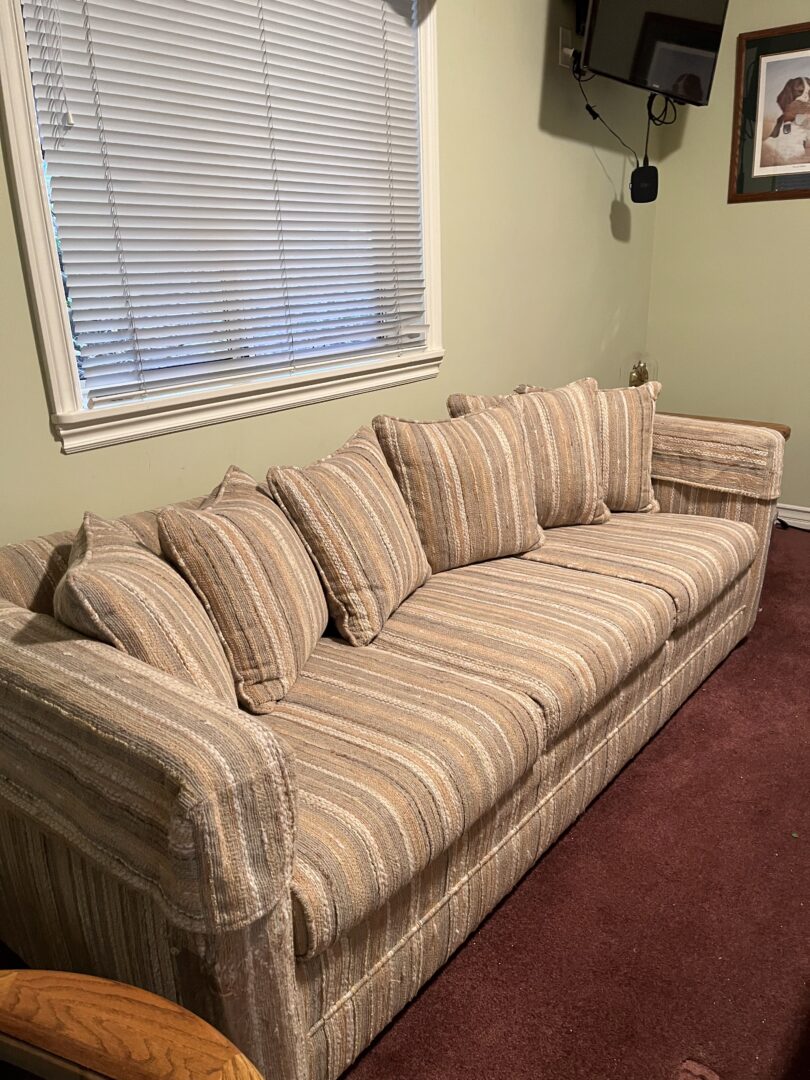 FREE COUCH