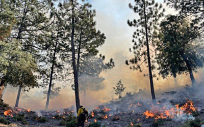 Report signals good news in reducing fire risk on the mountain
