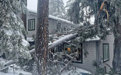 Mountain Pummeled by Winter Storm