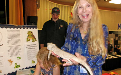MPH hosts science night for families