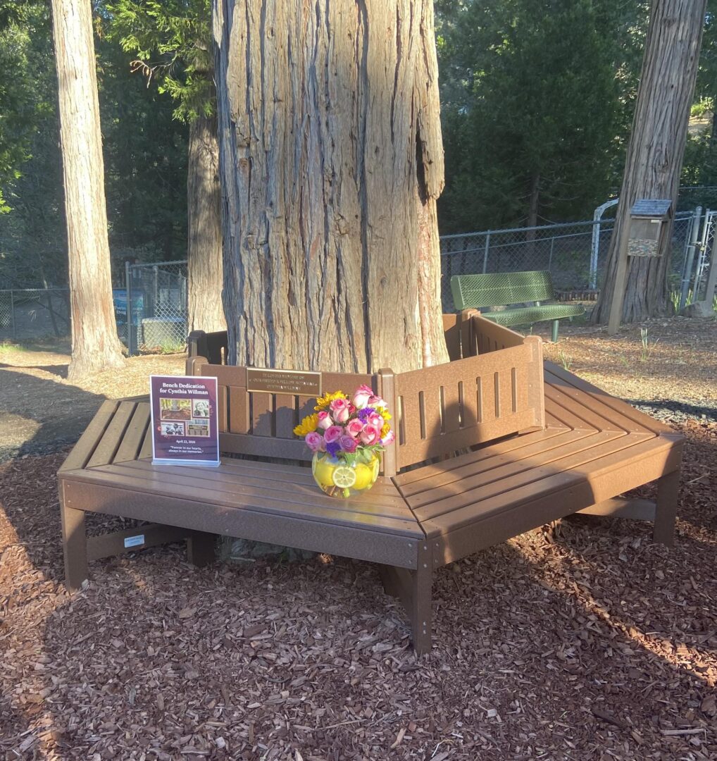 Members of the Mountain Sunrise Rotary Club dedicated this bench to the late Cynthia Siemens Willman, who was a fellow Rotarian. (Photo: Mountain Sunrise Rotary Club)