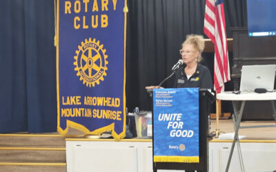 What and why is Rotary International?