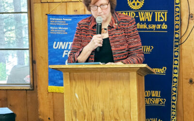 Rotary: the hinge that turns commitment into action