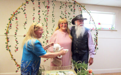 Spring tea at Leisure Shores