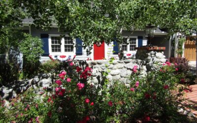 Garden tour teased all the senses