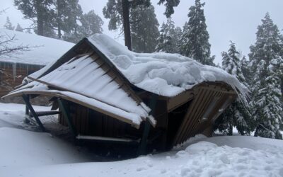 Thousand Pines celebrates five rebuilt cabins