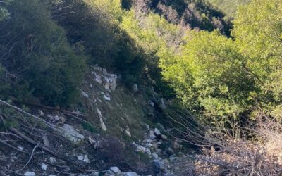 Strawberry Canyon restoration effort gains support