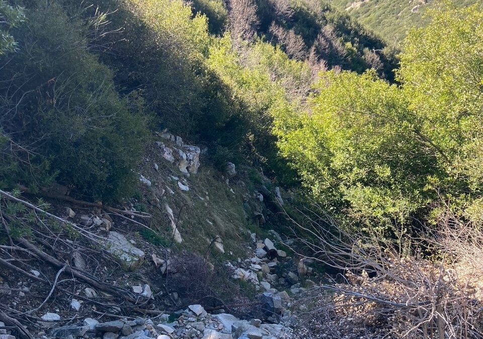 Strawberry Canyon restoration effort gains support