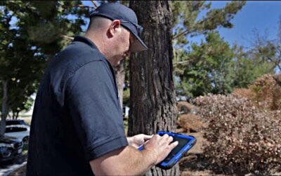 County Fire to oversee fire hazard abatement program