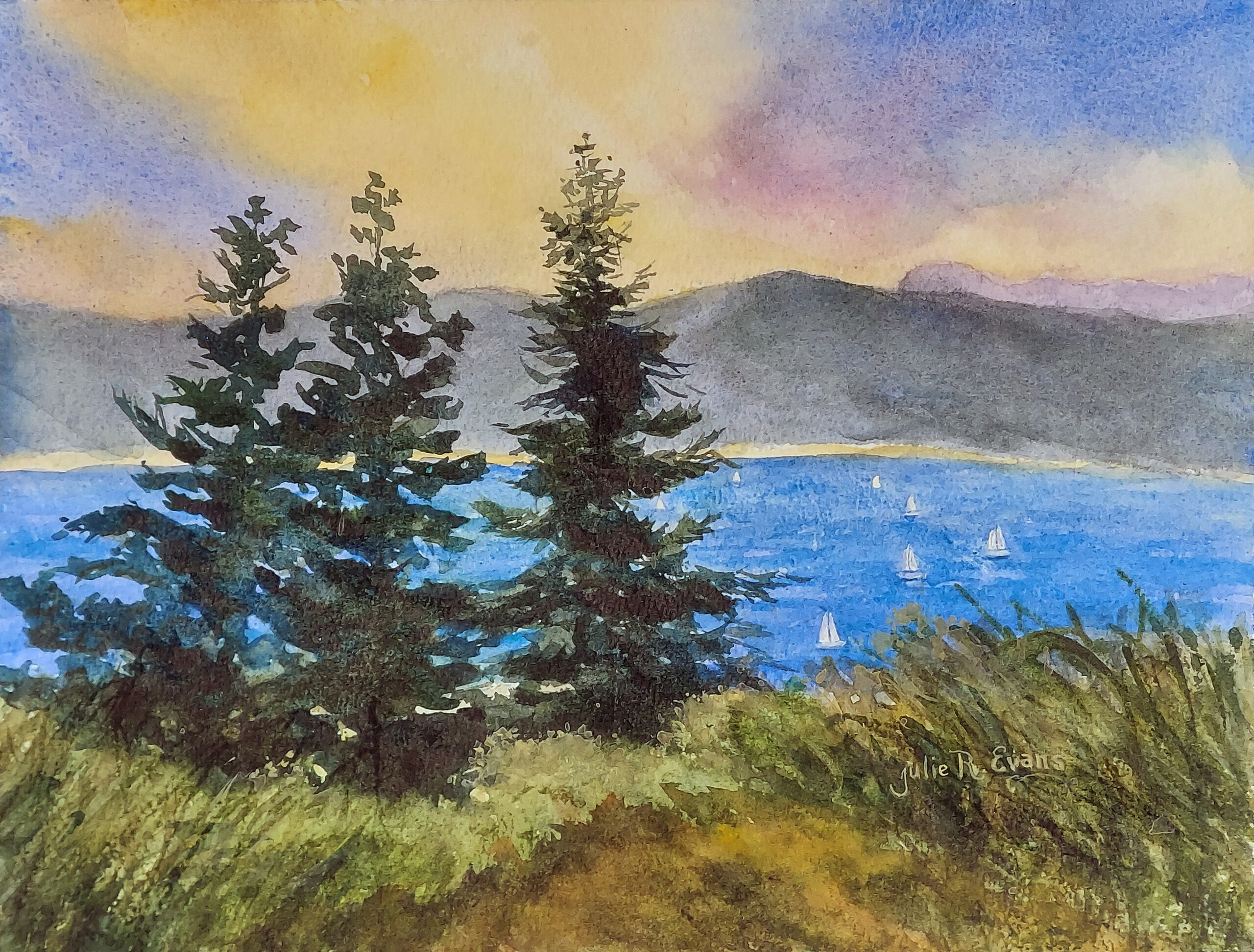 Julie R. Evans